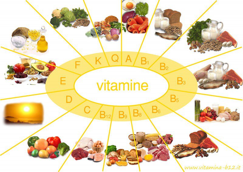 VITAMIN, KHOÁNG CHẤT VÀ SỨC KHOẺ HỆ MIỄN DỊCH CỦA BẠN